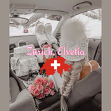 Casa Privata in Zürich, Elvetia